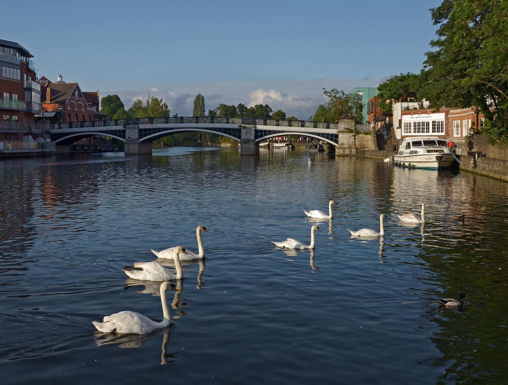 Top Floor En-Suite Double Bedrooms With Great View Of Windsor Castle & Free Parking Exterior foto